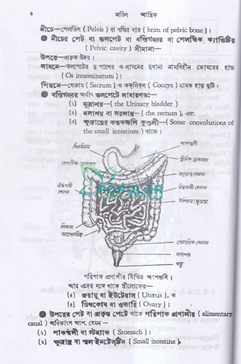 জন্ডিস ও আন্ত্রিক Homeopathy Books