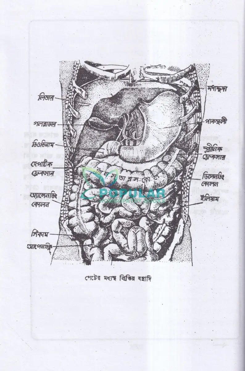 জন্ডিস ও আন্ত্রিক Homeopathy Books