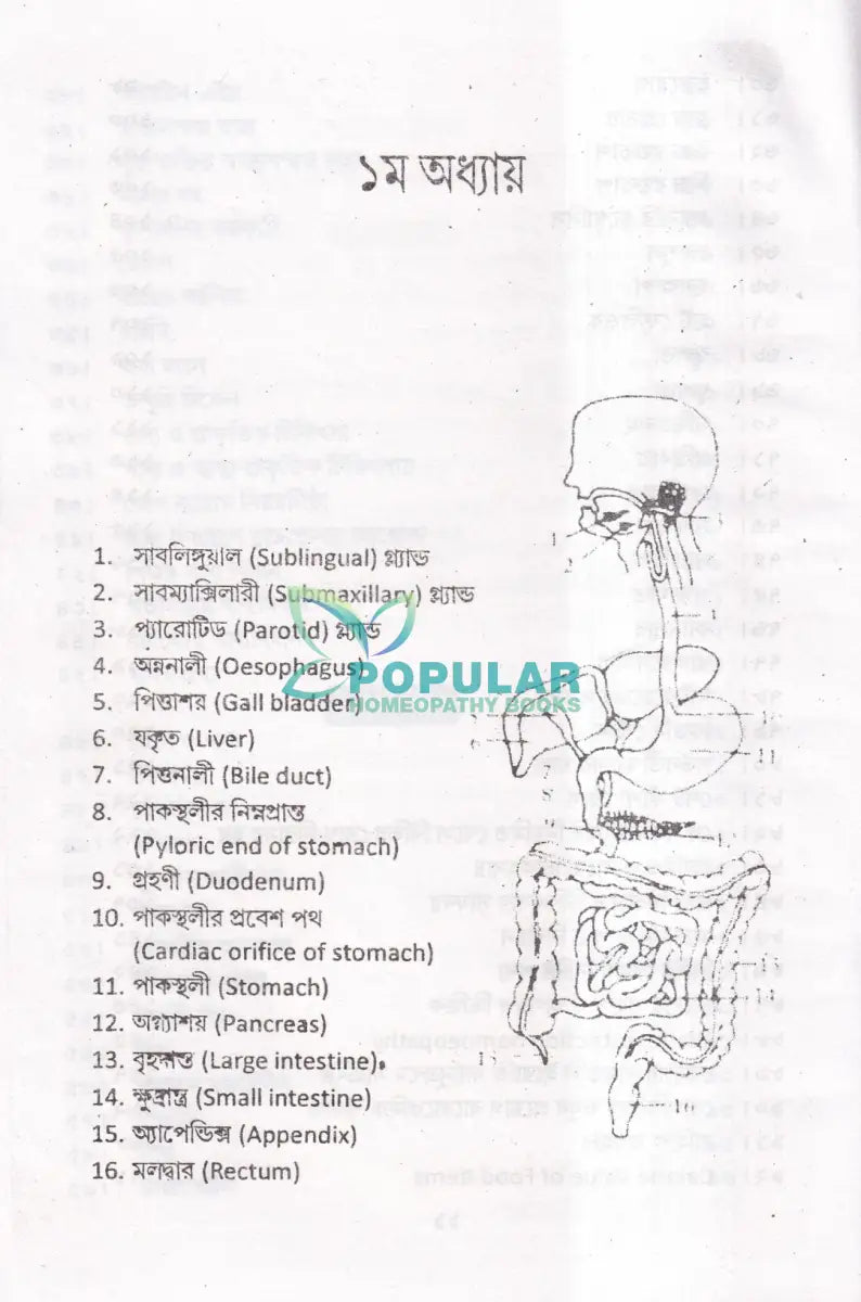 কিছু রোগ কিছু পথ্য ও হোমিও বিধান (খাদ্য তালিকা সহ) Homeopathy Books
