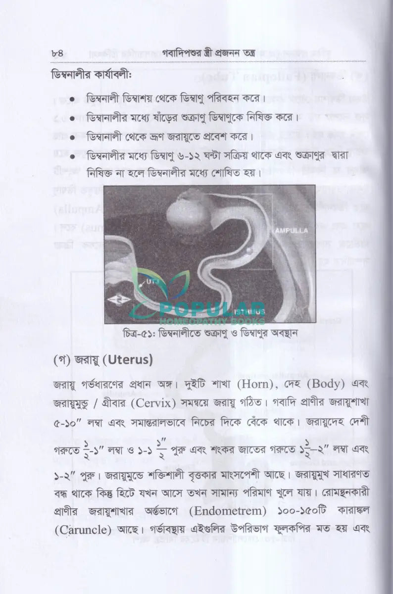 কৃত্রিম প্রজনন (এ.আই) ও গবাদিপশুর প্রজনন রোগব্যাধির চিকিৎসা Veterinary Books