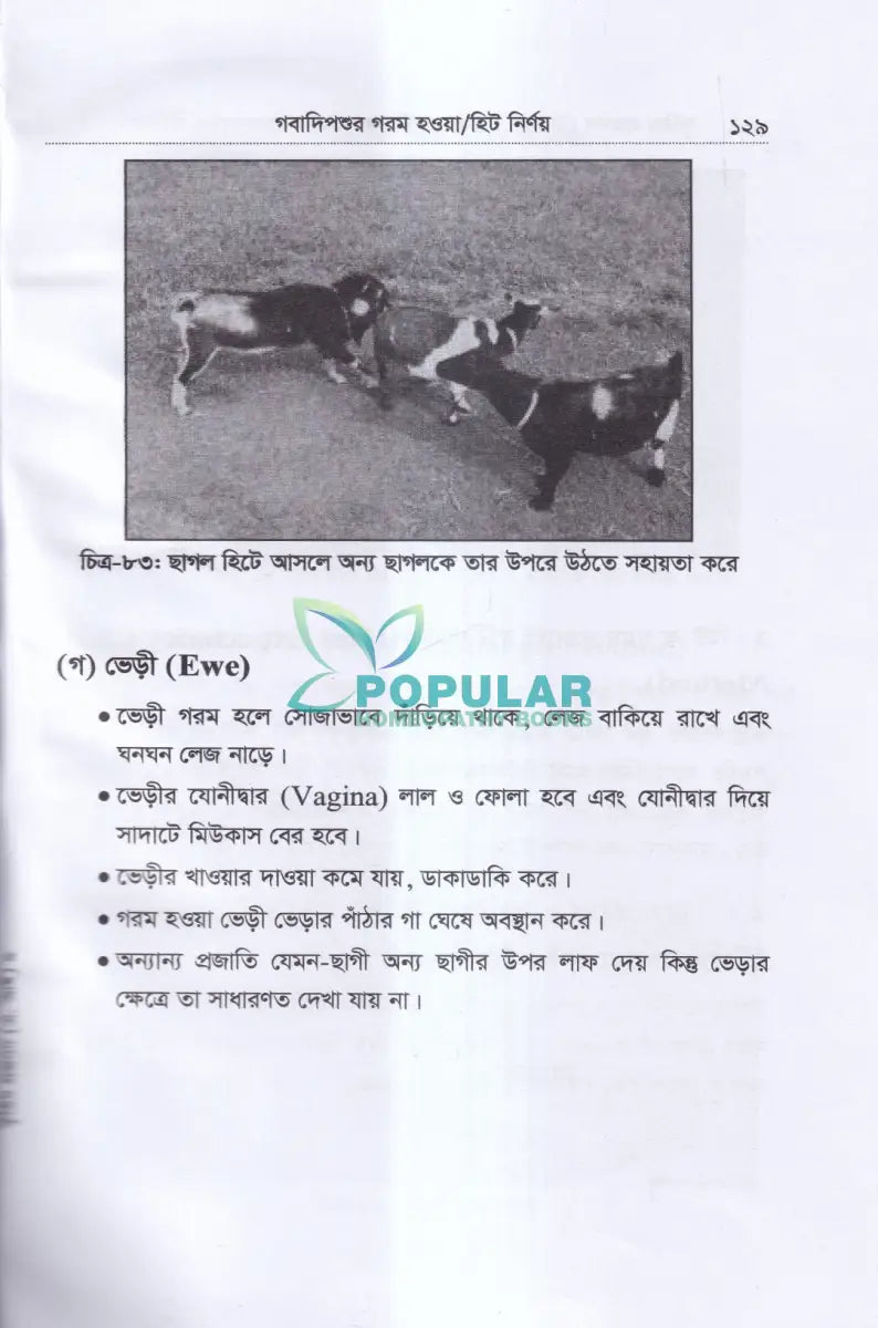 কৃত্রিম প্রজনন (এ.আই) ও গবাদিপশুর প্রজনন রোগব্যাধির চিকিৎসা Veterinary Books