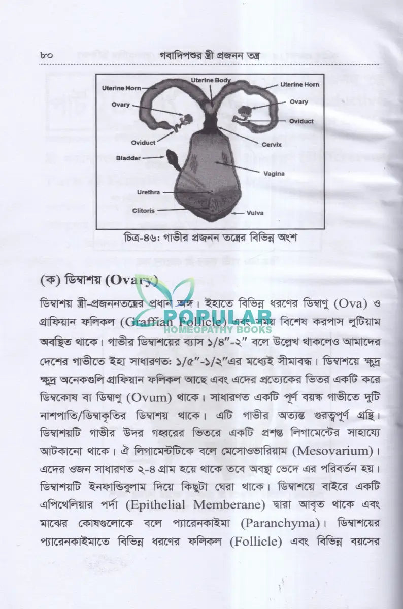 কৃত্রিম প্রজনন (এ.আই) ও গবাদিপশুর প্রজনন রোগব্যাধির চিকিৎসা Veterinary Books
