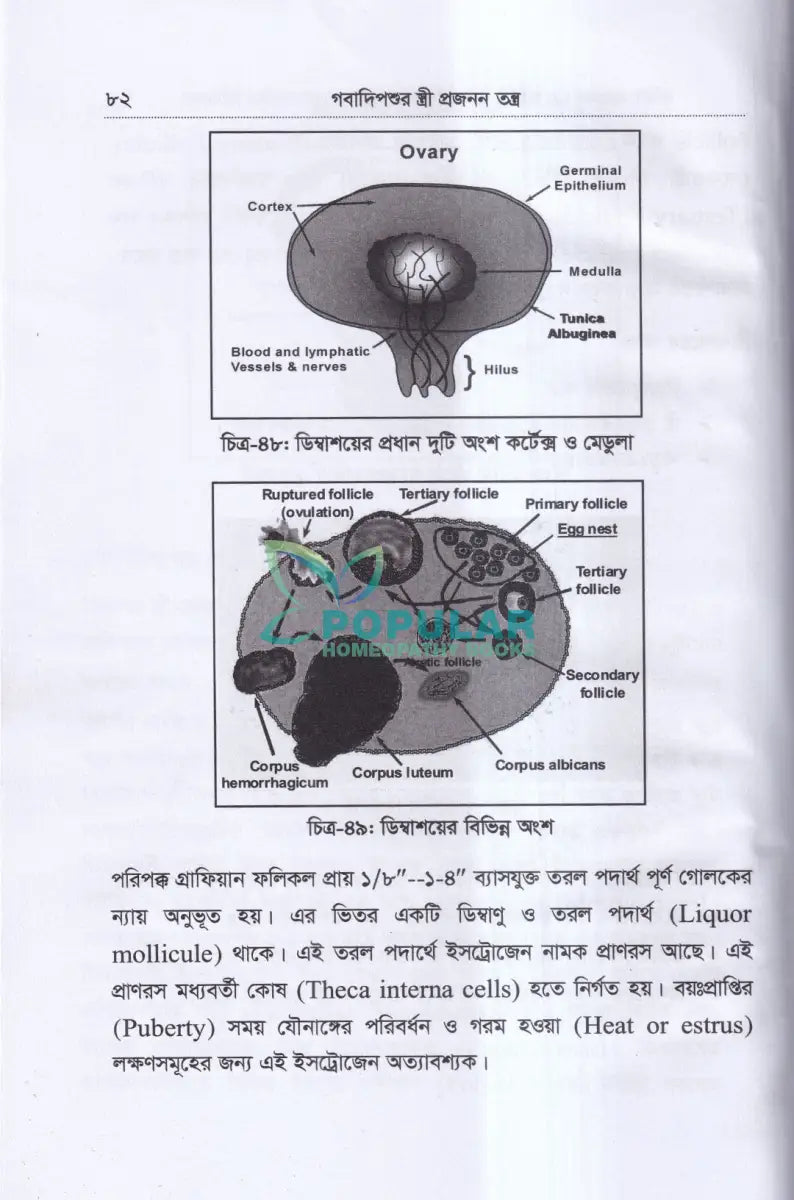 কৃত্রিম প্রজনন (এ.আই) ও গবাদিপশুর প্রজনন রোগব্যাধির চিকিৎসা Veterinary Books