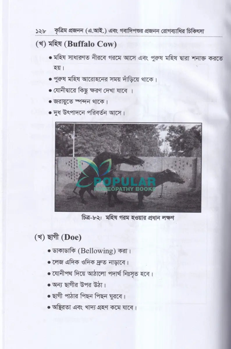 কৃত্রিম প্রজনন (এ.আই) ও গবাদিপশুর প্রজনন রোগব্যাধির চিকিৎসা Veterinary Books