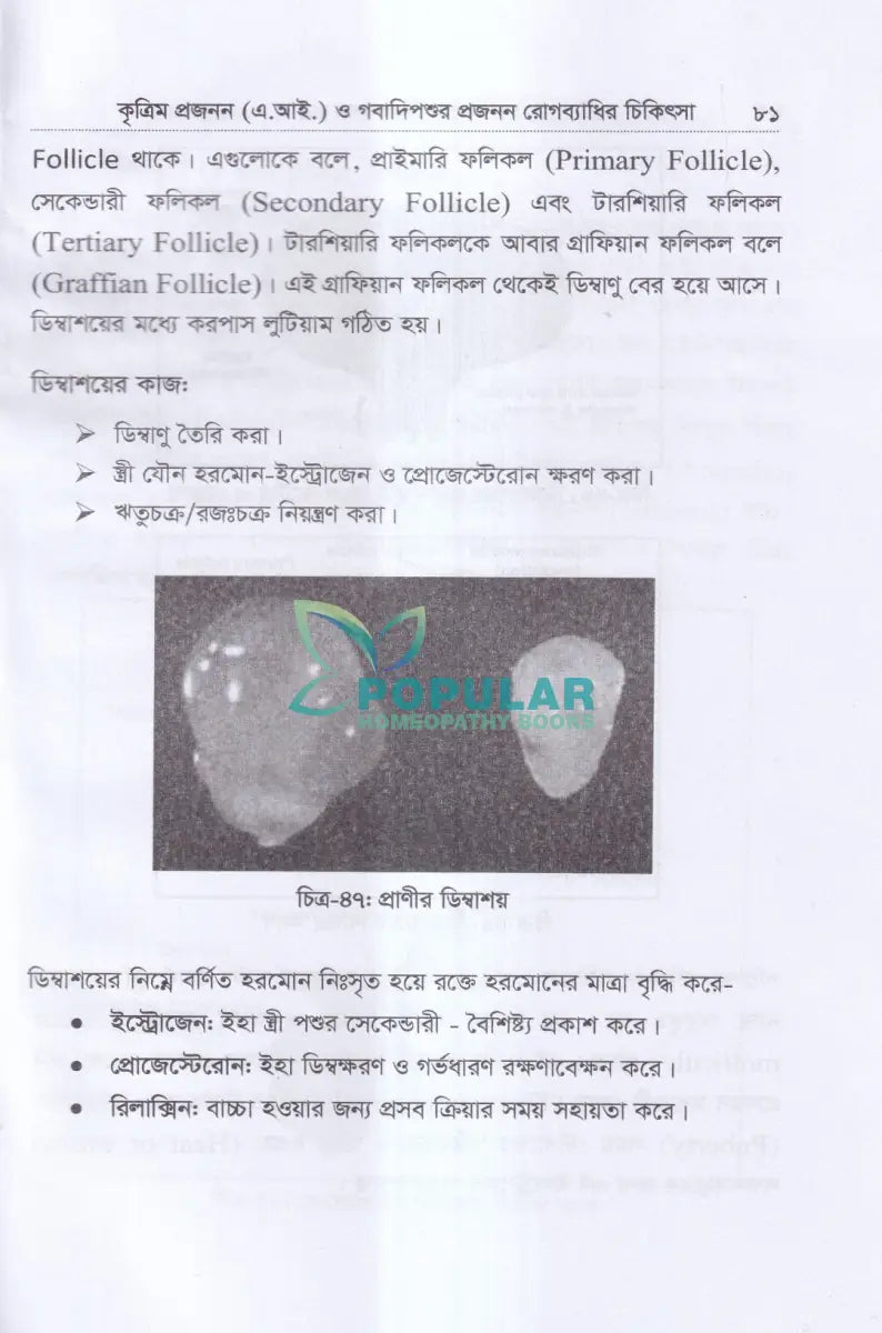 কৃত্রিম প্রজনন (এ.আই) ও গবাদিপশুর প্রজনন রোগব্যাধির চিকিৎসা Veterinary Books