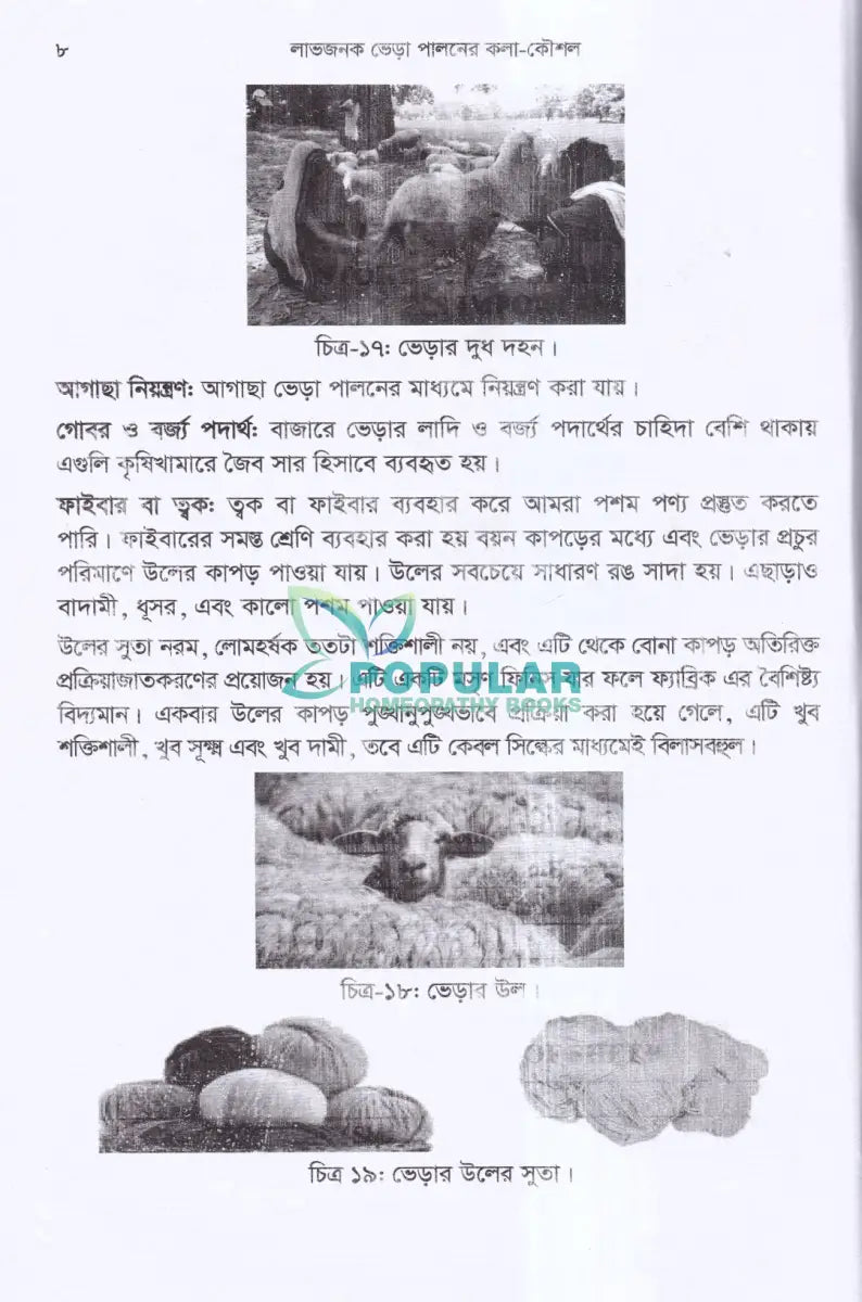 লাভজনক ভেড়া পালনের কলা কৌশল Veterinary Books