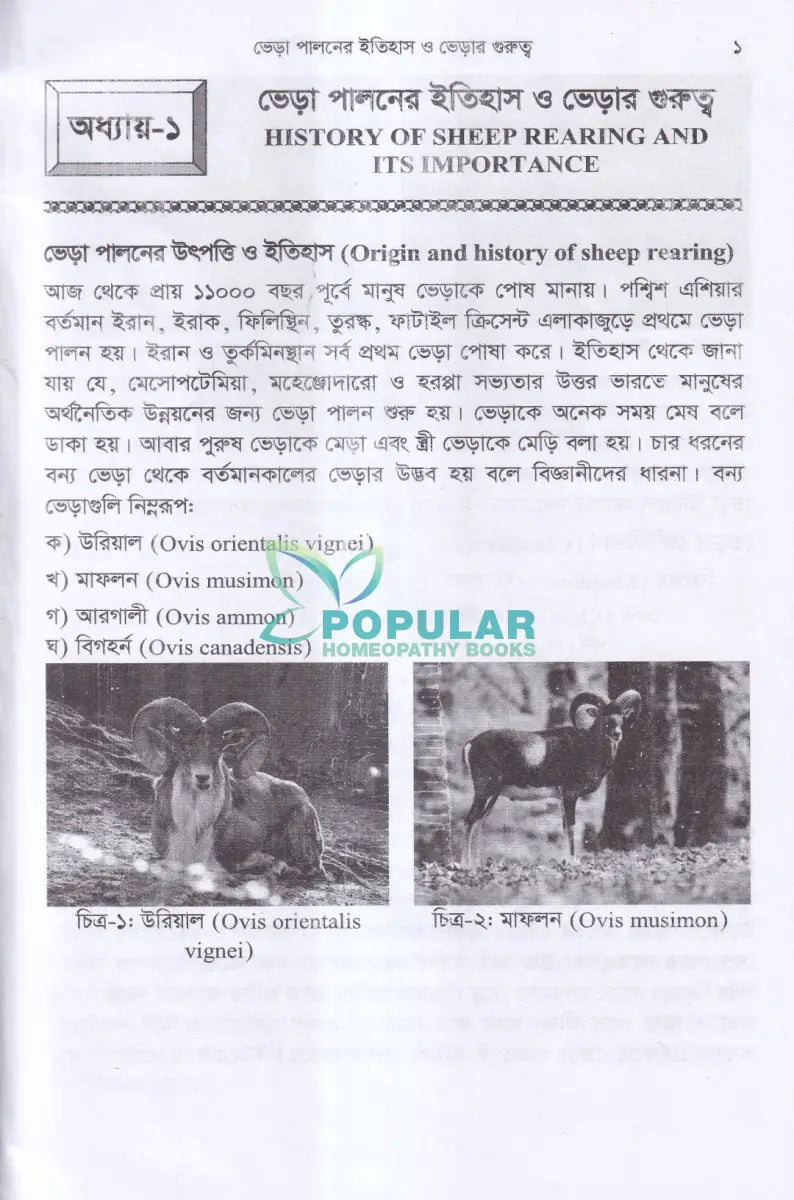 লাভজনক ভেড়া পালনের কলা কৌশল Veterinary Books