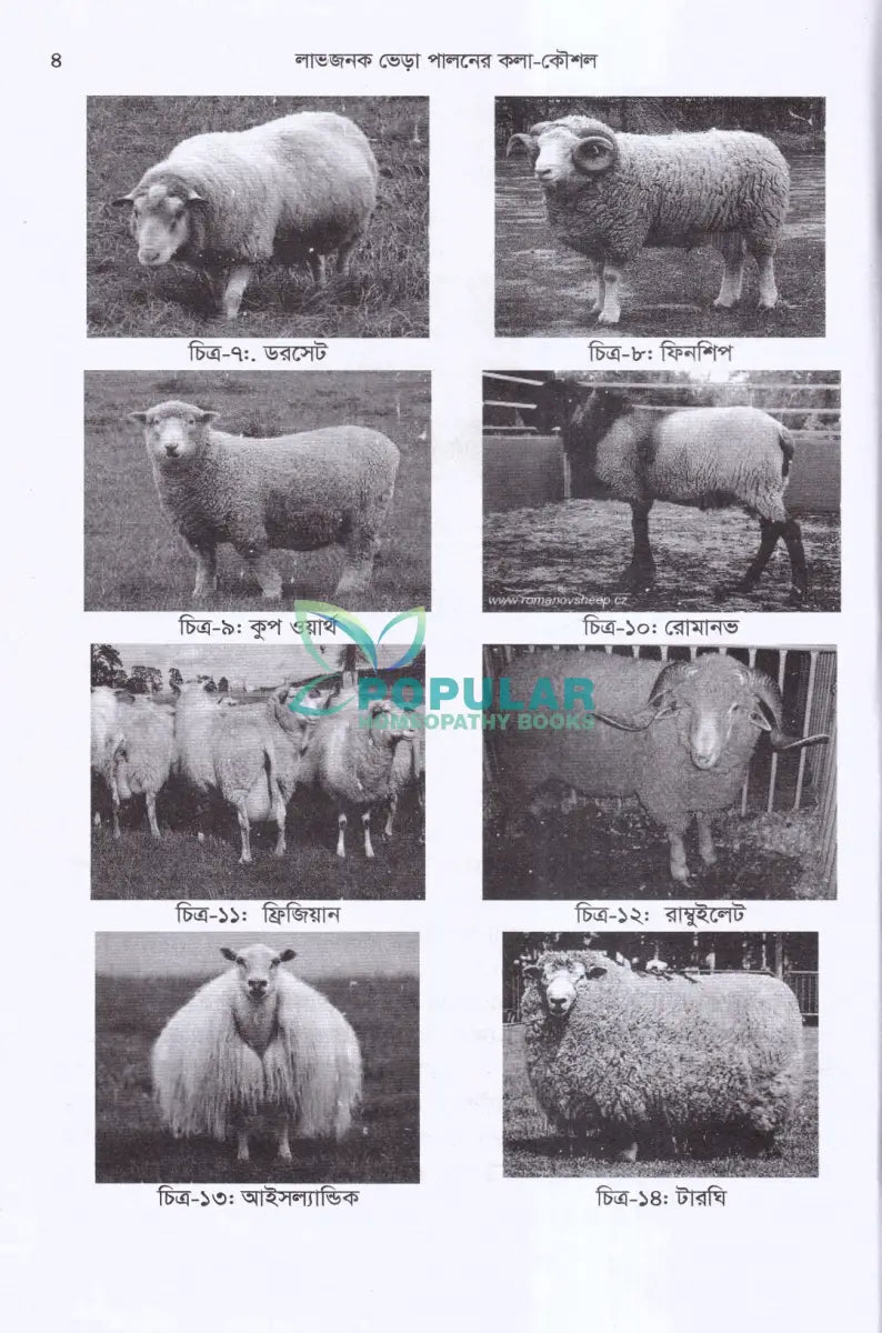 লাভজনক ভেড়া পালনের কলা কৌশল Veterinary Books