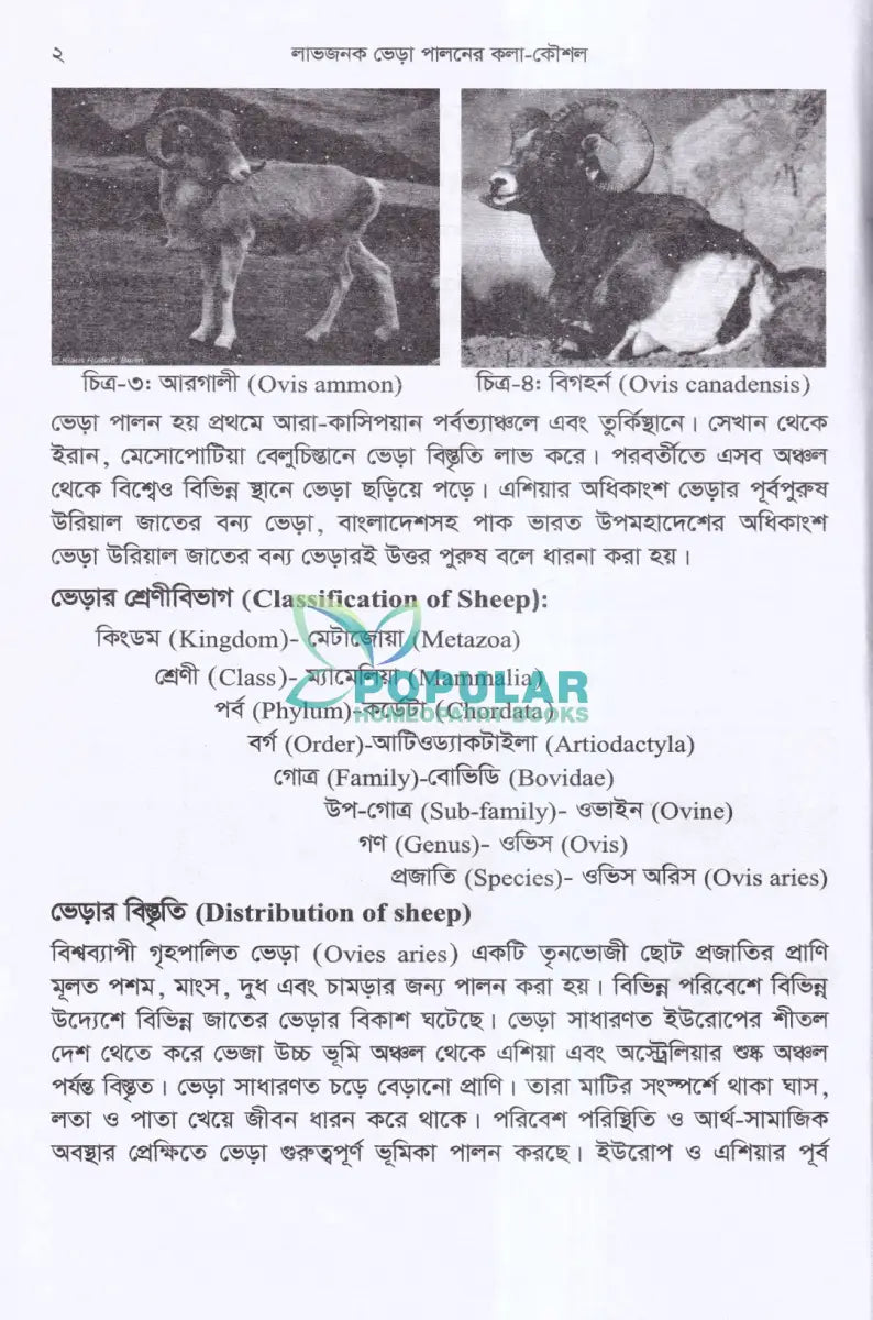 লাভজনক ভেড়া পালনের কলা কৌশল Veterinary Books