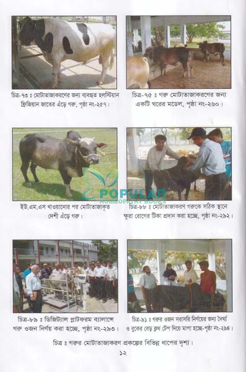 লাভজনক পশু পালন ও খামার ব্যবস্থপনা Veterinary Books