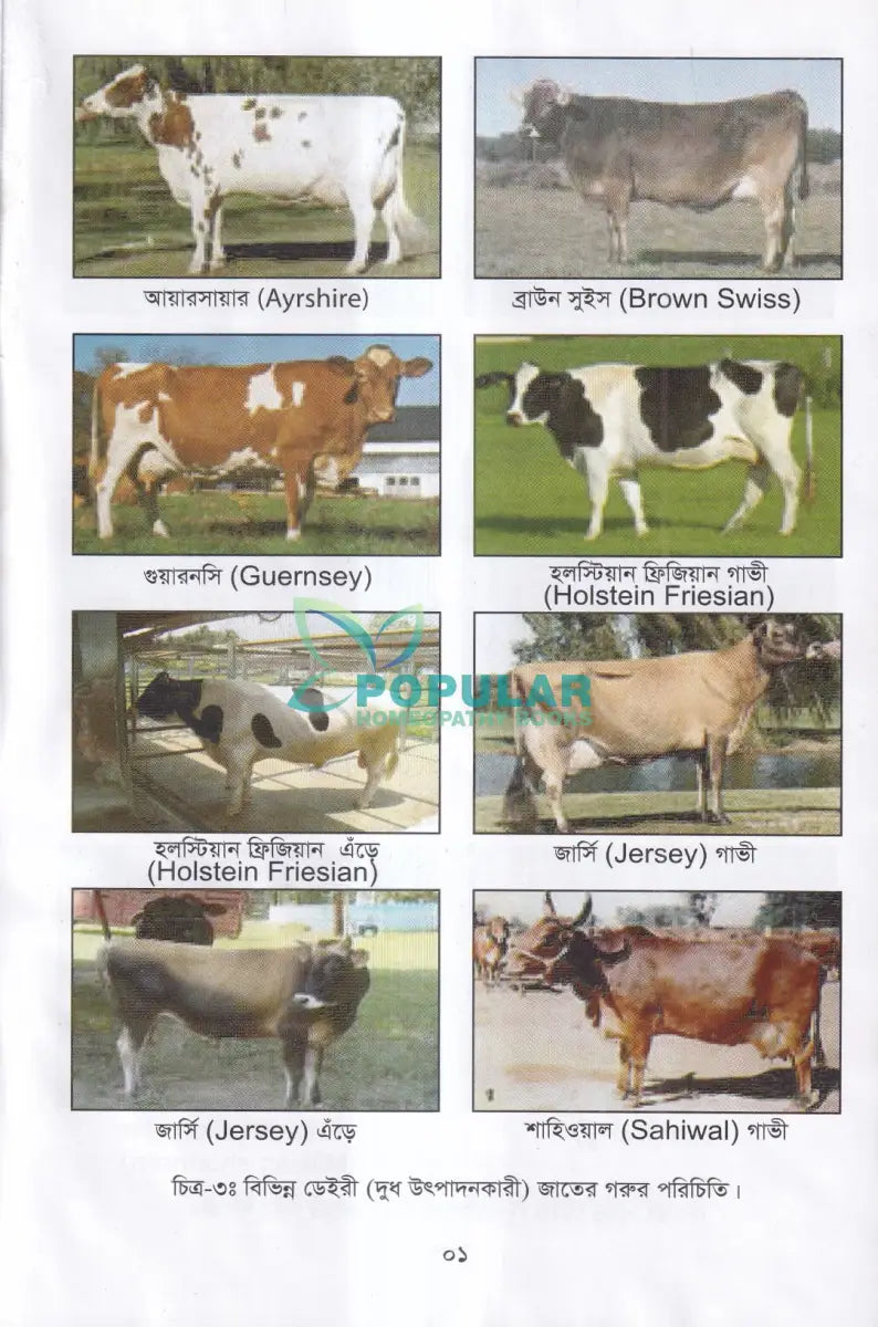 লাভজনক পশু পালন ও খামার ব্যবস্থপনা Veterinary Books