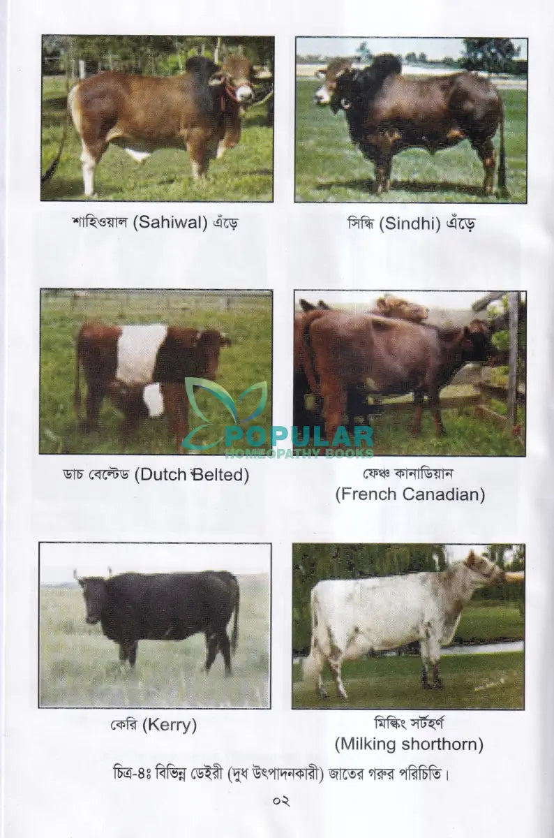 লাভজনক পশু পালন ও খামার ব্যবস্থপনা Veterinary Books