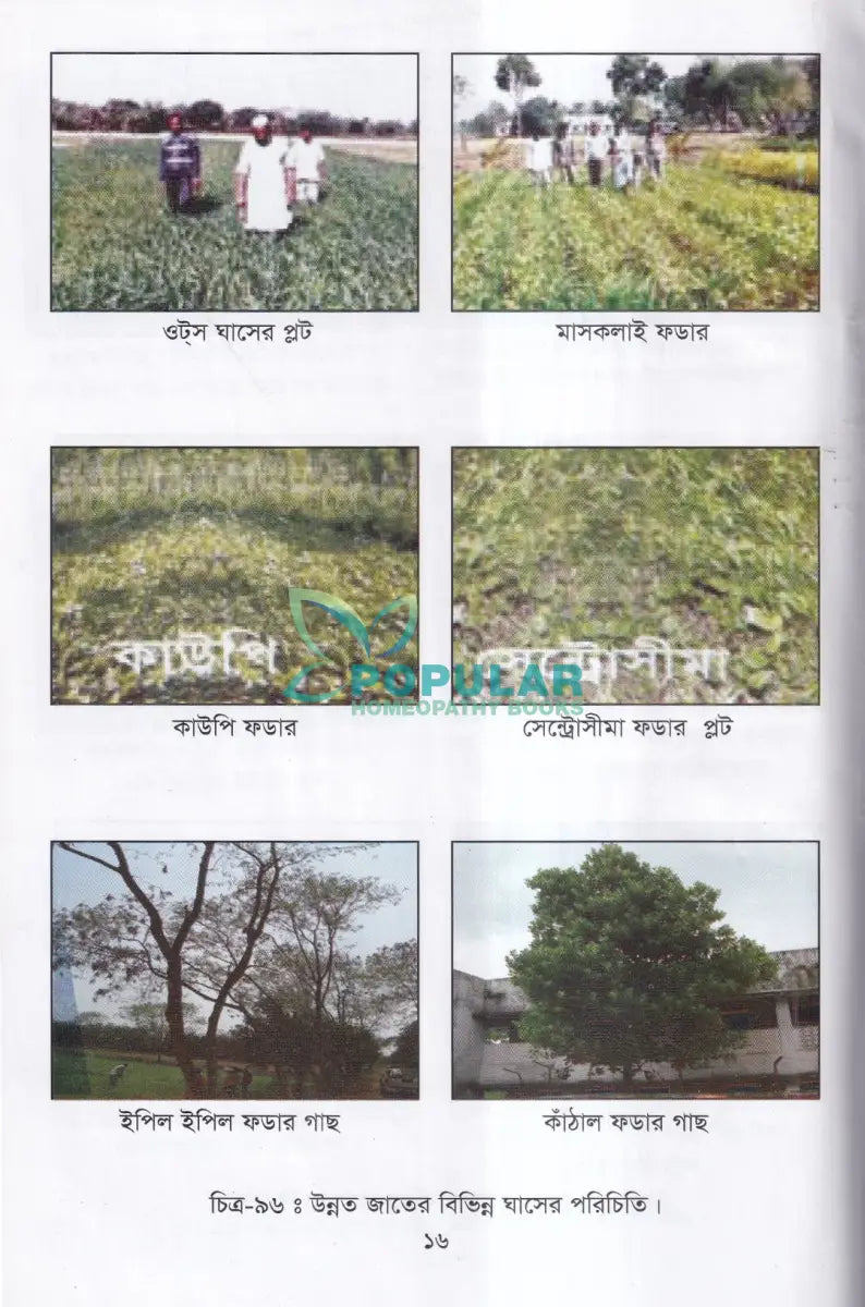 লাভজনক পশু পালন ও খামার ব্যবস্থপনা Veterinary Books