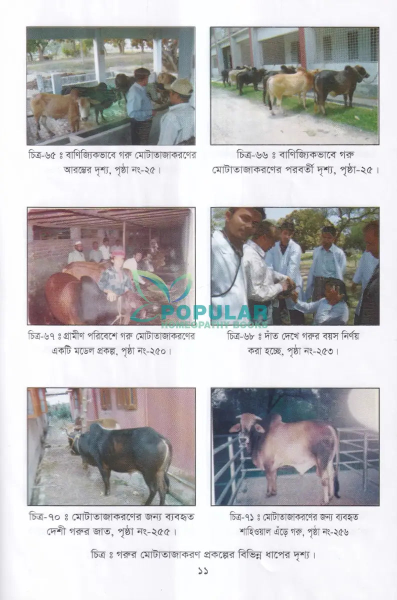 লাভজনক পশু পালন ও খামার ব্যবস্থপনা Veterinary Books