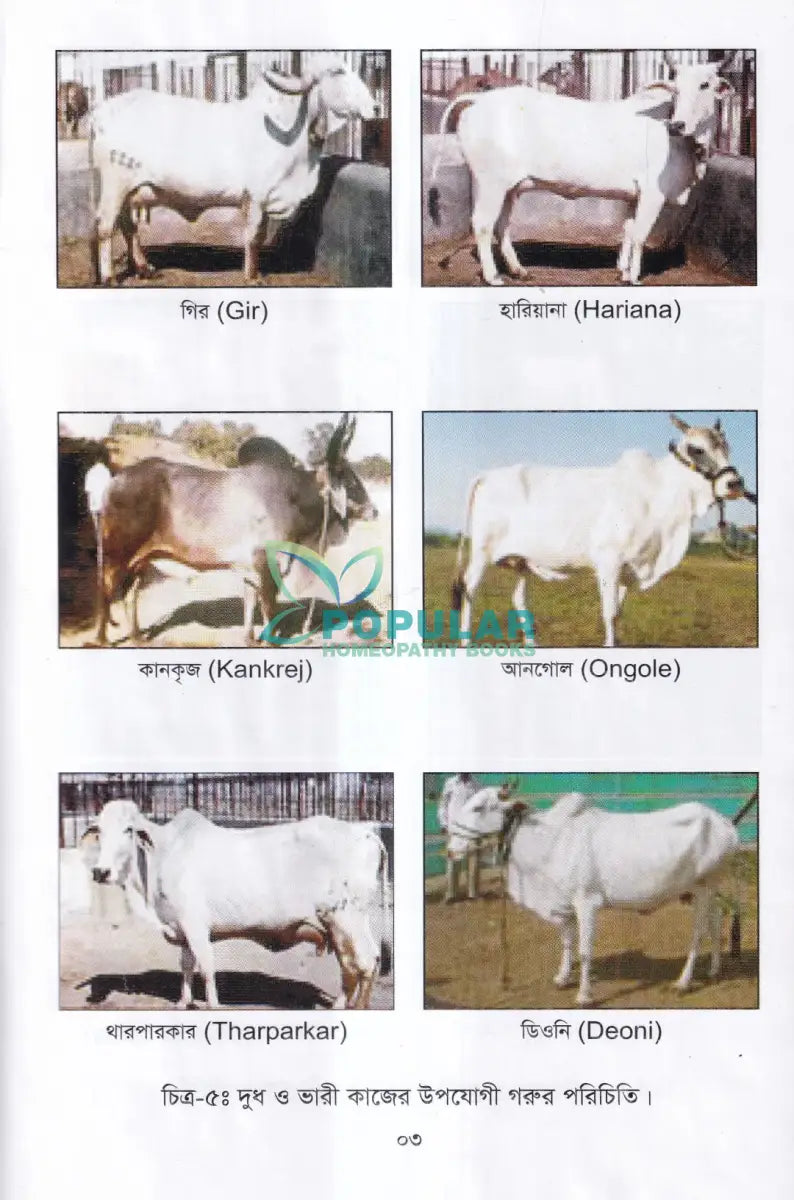 লাভজনক পশু পালন ও খামার ব্যবস্থপনা Veterinary Books