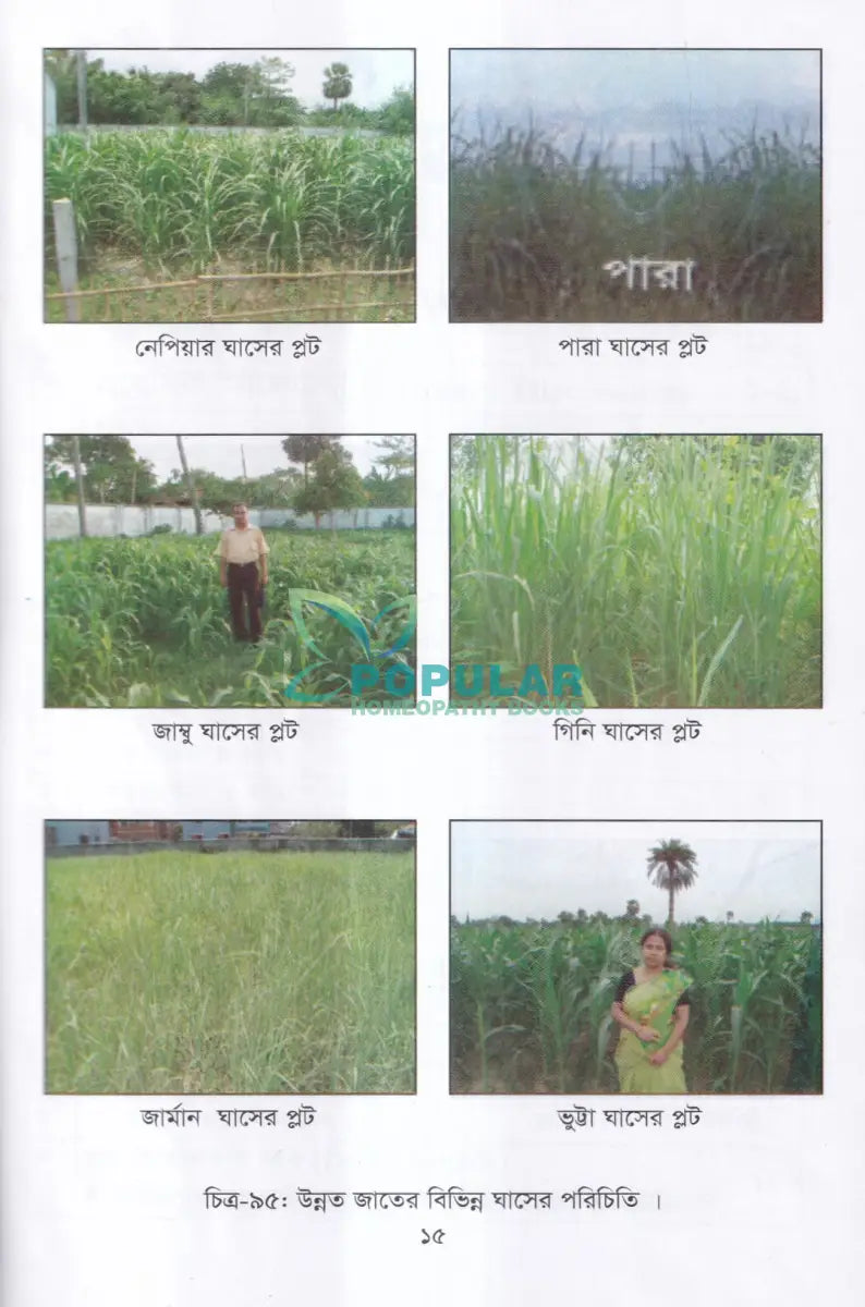 লাভজনক পশু পালন ও খামার ব্যবস্থপনা Veterinary Books