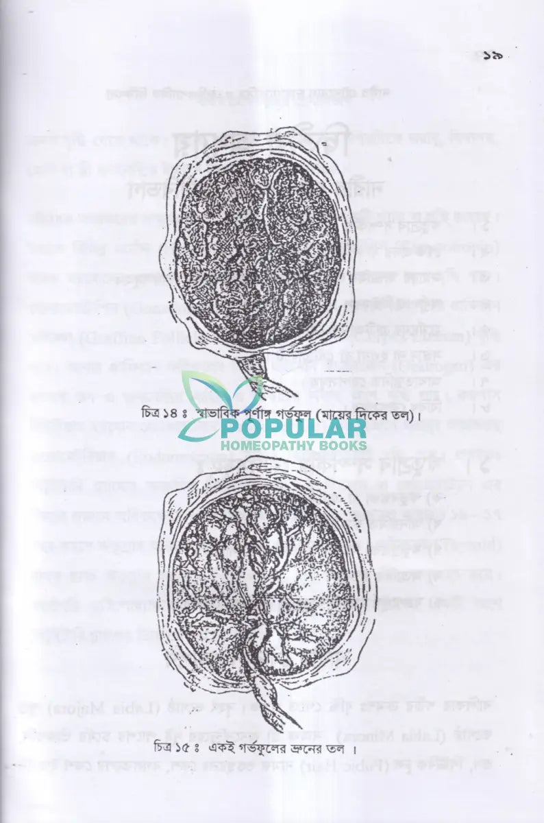 নারীর যৌনরোগ (ডায়াগনোসিস ও হোমিওপ্যাথিক চিকিৎসা) Homeopathy Books