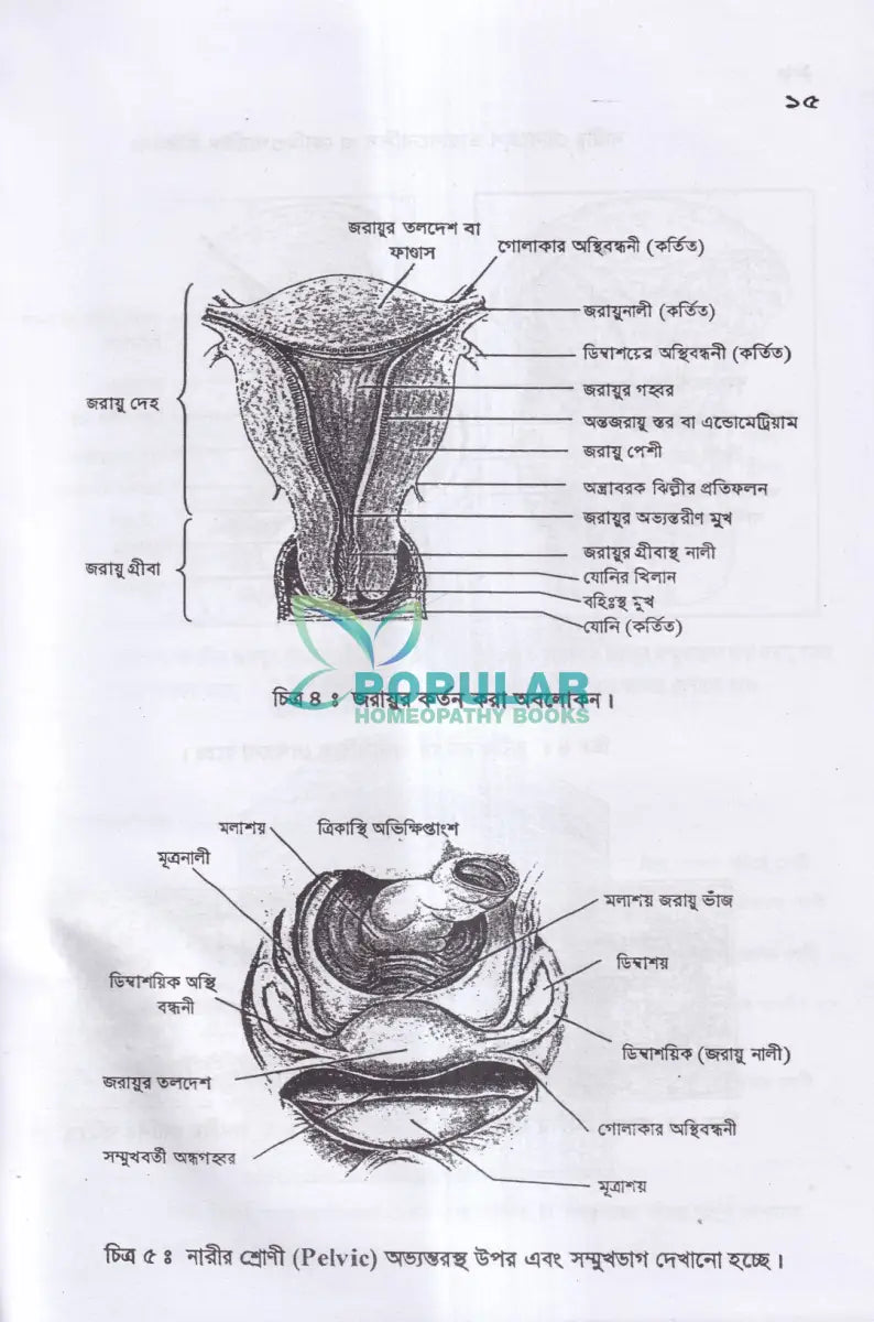 নারীর যৌনরোগ (ডায়াগনোসিস ও হোমিওপ্যাথিক চিকিৎসা) Homeopathy Books