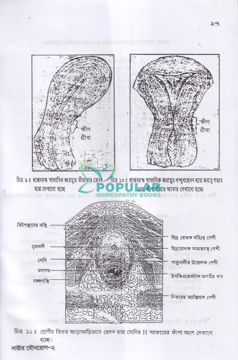 নারীর যৌনরোগ (ডায়াগনোসিস ও হোমিওপ্যাথিক চিকিৎসা) Homeopathy Books