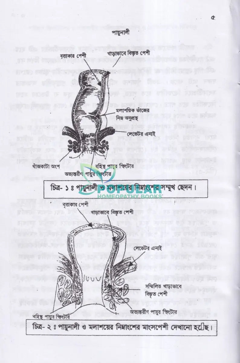পাইলস ফিসটিউল্যা ও পায়ুনালীর রোগ (ডায়াগনোসিস ও হোমিওপ্যাথিক চিকিৎসা) Homeopathy Books