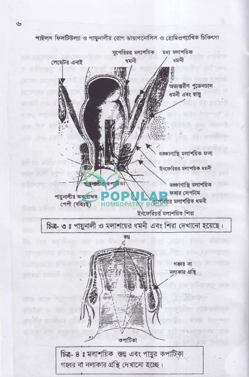 পাইলস ফিসটিউল্যা ও পায়ুনালীর রোগ (ডায়াগনোসিস ও হোমিওপ্যাথিক চিকিৎসা) Homeopathy Books