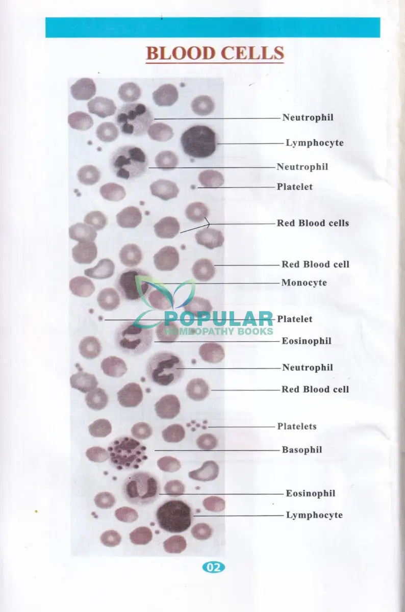 প্র্যাকটিক্যাল বুক অন ক্লিনিক্যাল প্যাথলজি Homeopathy Books