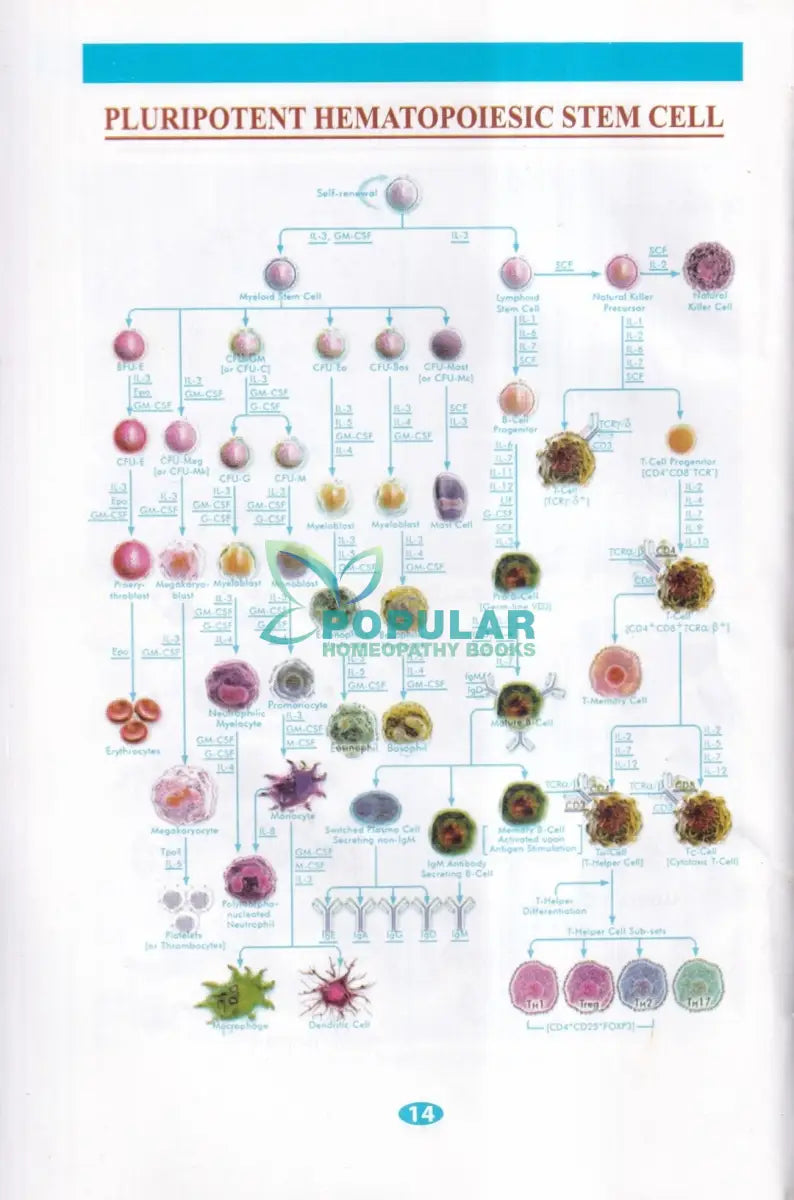 প্র্যাকটিক্যাল বুক অন ক্লিনিক্যাল প্যাথলজি Homeopathy Books