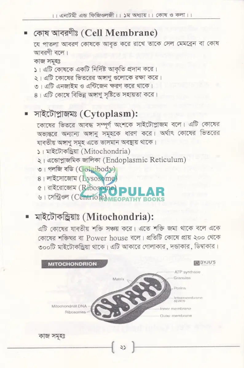প্যারামেডিক্স Allopathic Books