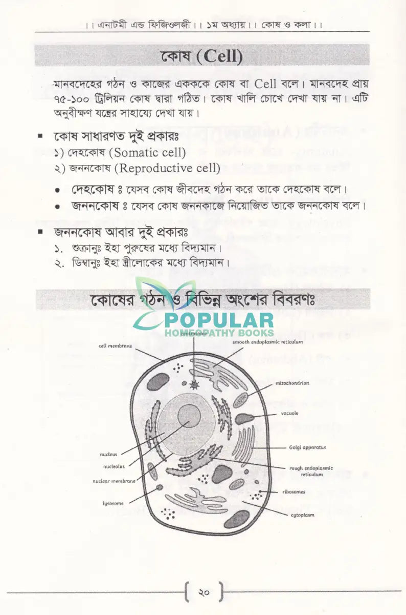 প্যারামেডিক্স Allopathic Books
