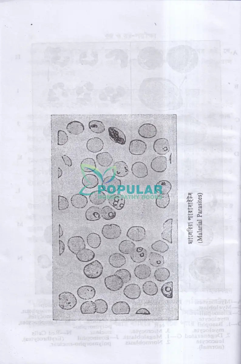 রক্ত ও রক্ত পরীক্ষা Homeopathy Books