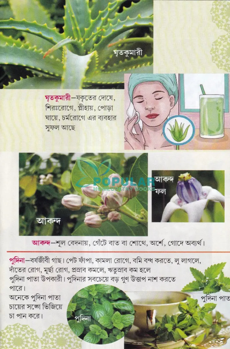 সহজ পারিবারিক আয়ুর্বেদিক চিকিৎসা Ayurvedic Books