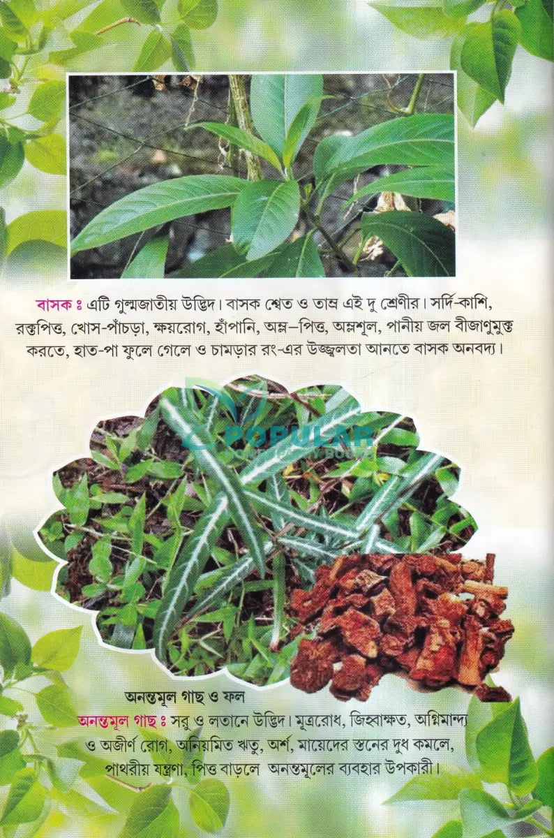 সহজ পারিবারিক আয়ুর্বেদিক চিকিৎসা Ayurvedic Books