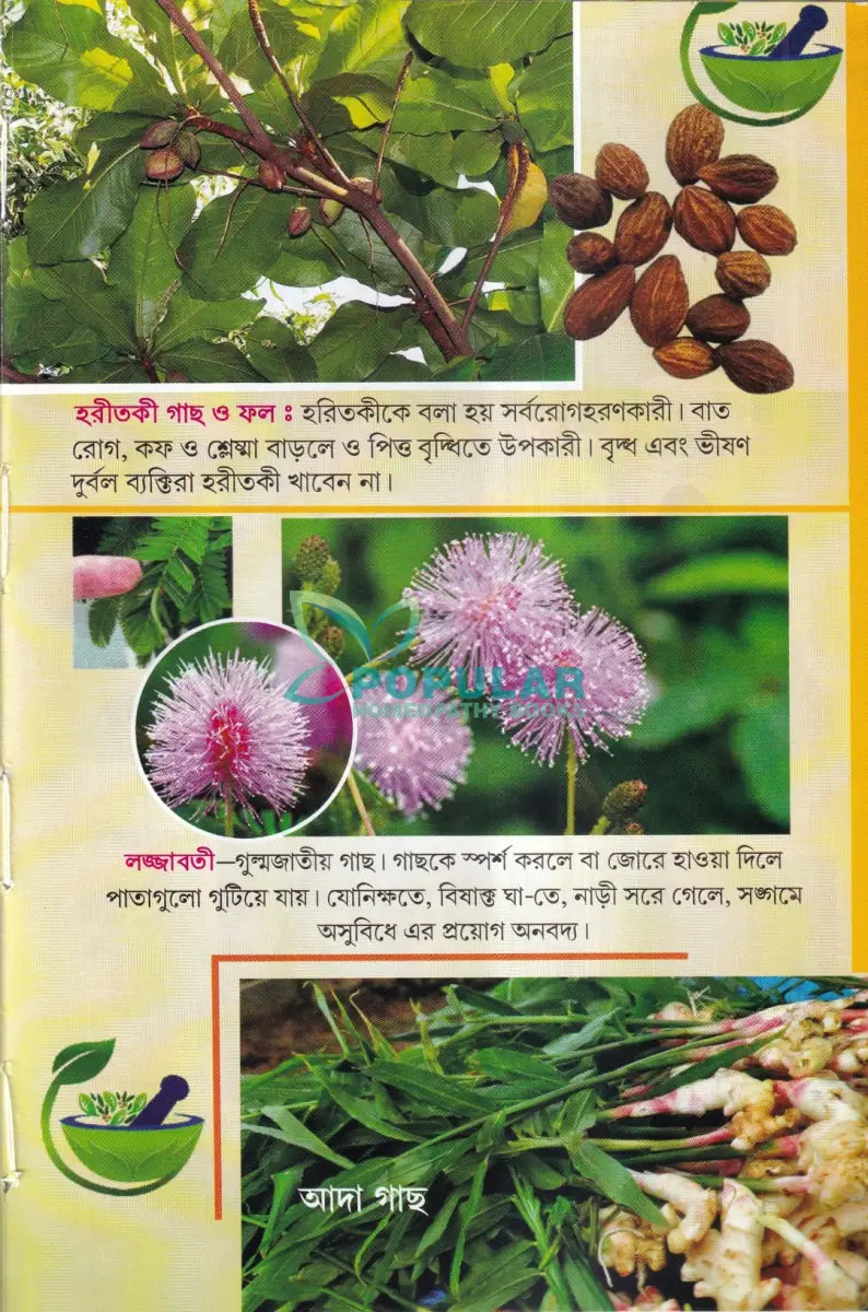 সহজ পারিবারিক আয়ুর্বেদিক চিকিৎসা Ayurvedic Books