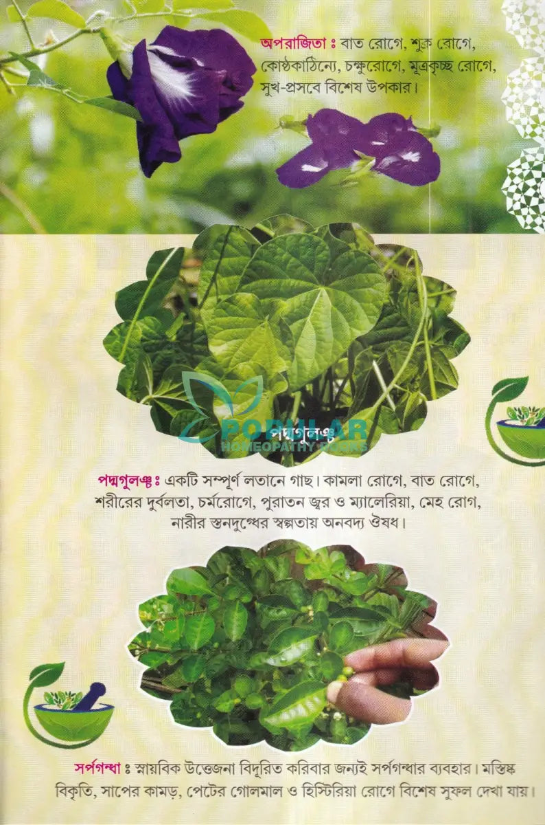 সহজ পারিবারিক আয়ুর্বেদিক চিকিৎসা Ayurvedic Books