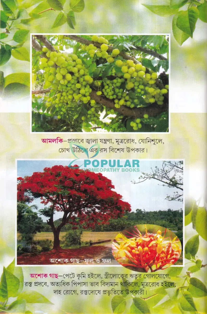 সহজ পারিবারিক আয়ুর্বেদিক চিকিৎসা Ayurvedic Books