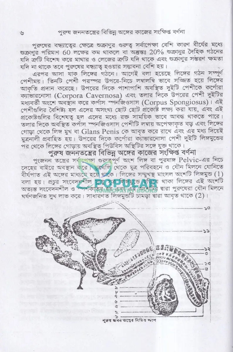 যৌন সমস্যায় হোমিওপ্যাথি Homeopathy Books
